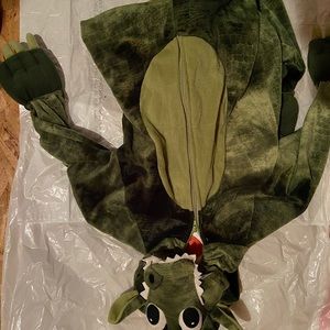 Children’s Dragon Costume